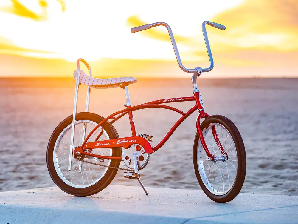 と*ん様 SCHWINN STING-RAY SLIK 20 x 2.125タイ 2022 Schwinn Sting-Ray 20