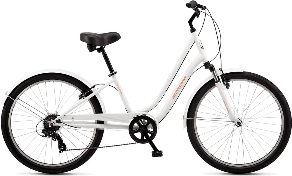 Schwinn Regioneer Step-Thru
