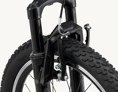 2024 Schwinn High Timber AL 20"  Specs, Comparisons, Reviews  99 Spokes