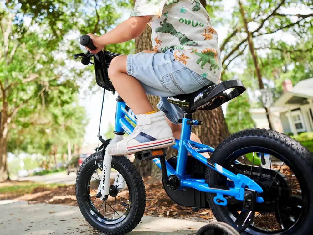 2024 Schwinn Koen 12" – Specs, Comparisons, Reviews – 99 Spokes