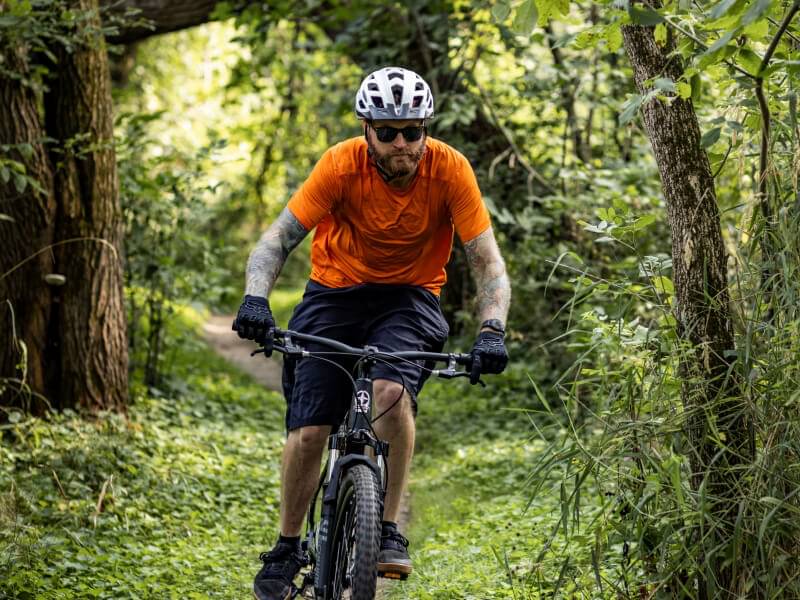 2025 Schwinn Ascension  Specs, Comparisons, Reviews  99 Spokes