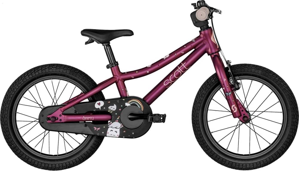Scott Contessa 16