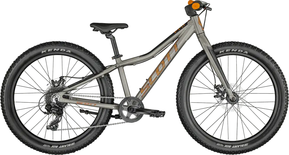 2025 Scott Roxter 24 – Spezifikationen, Vergleiche, Bewertungen – 99 Spokes