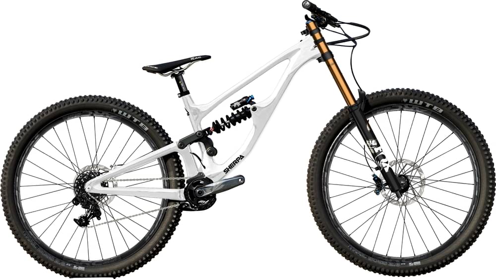 Sherpa Olympus Factory DH 27.5