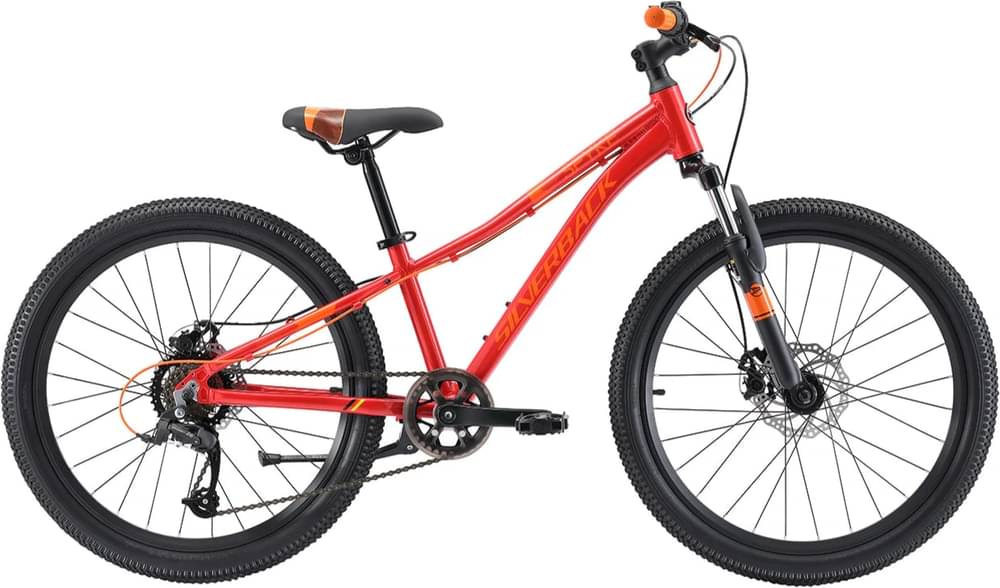 SILVERBACK Spyke 24
