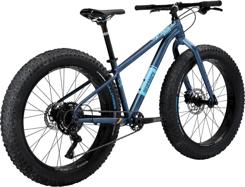 2023 Silverback Scoop Delight – Spécifications, comparaisons, avis – 99 ...