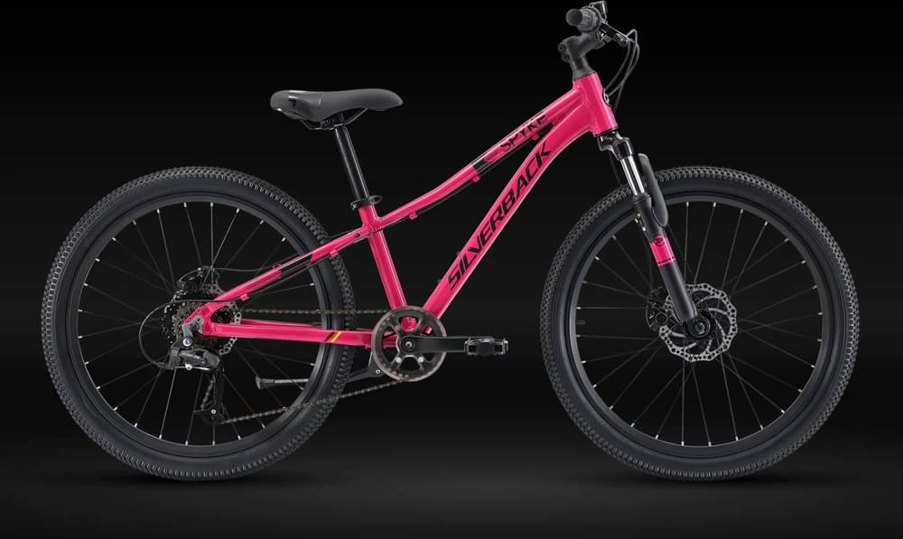 Silverback Spyke 24
