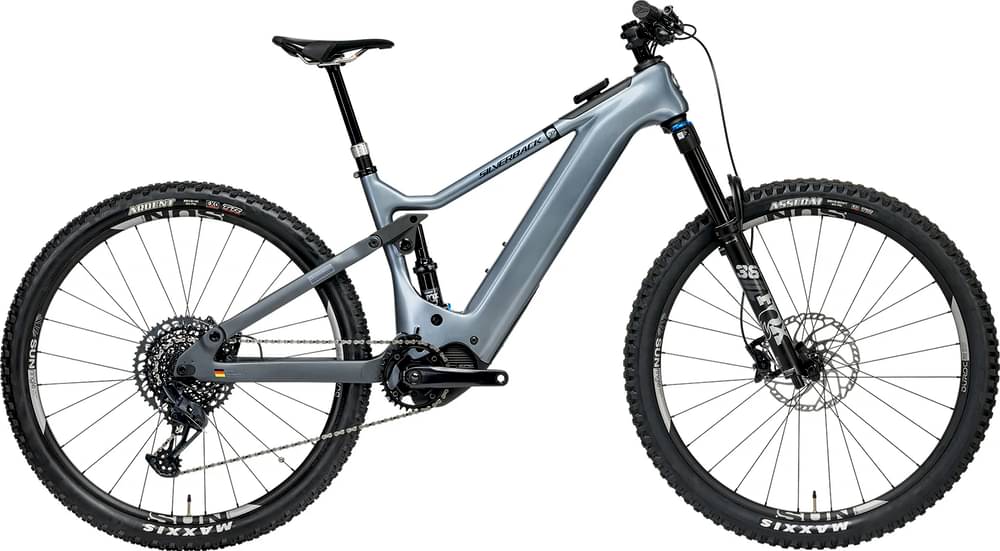 Silverback S-Electro Pro CF 2