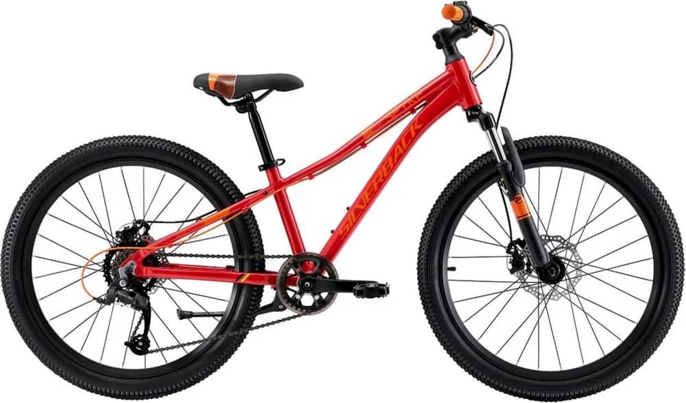 Silverback Spyke 24