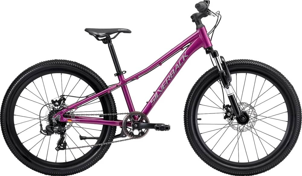 Silverback Spyke 24D (gen4)