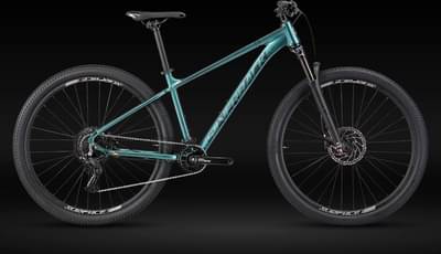 SILVERBACK SE:SeriesTM 9