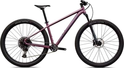 Specialized Rockhopper Expert