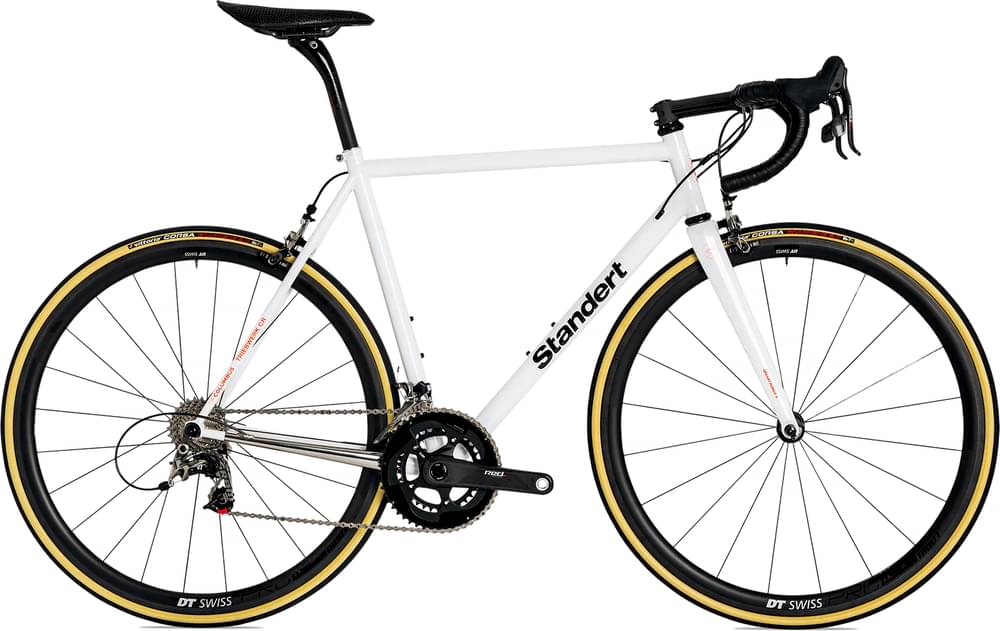 Standert Triebwerk CR Salt Sram Red 22
