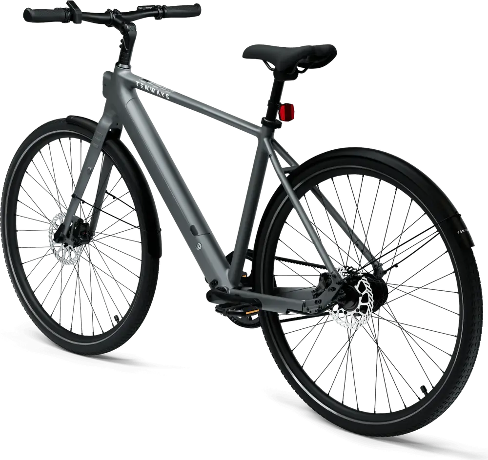 GO SOLID! Chargeur Compatible Avec Tenways CGO600 Pro Velo Electrique