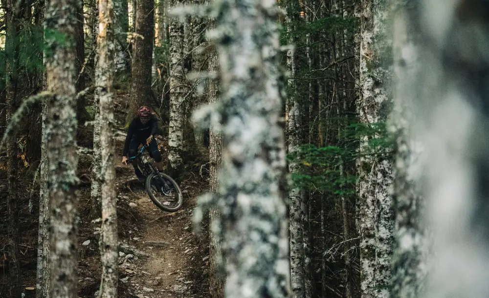 transition scout alloy frame