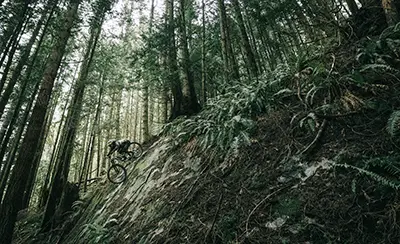 transition patrol alloy frame