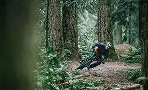 transition scout nx