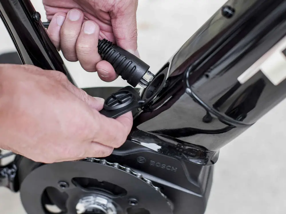 trek dual sport  2019