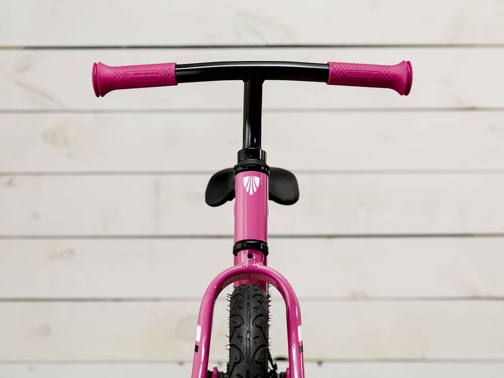 Trek Kickster
