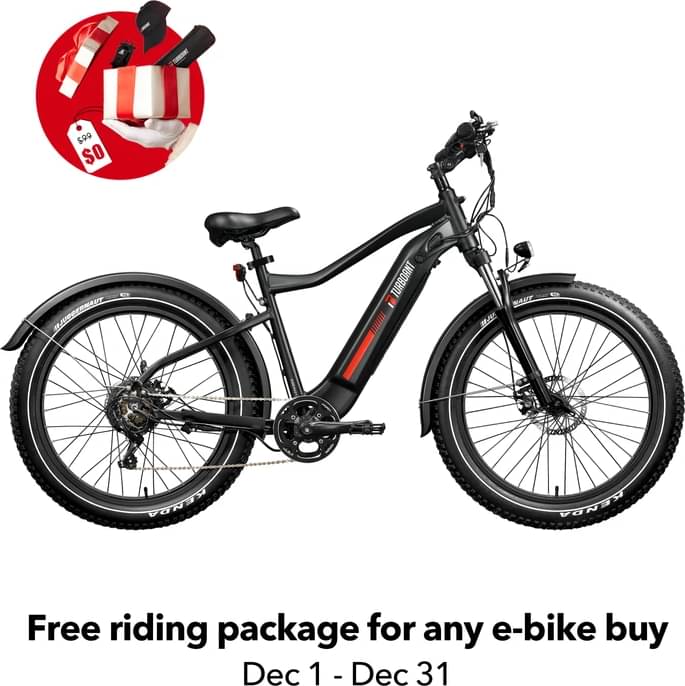 TURBOANT Nebula N1 Fat Tire - Internal Battery N1