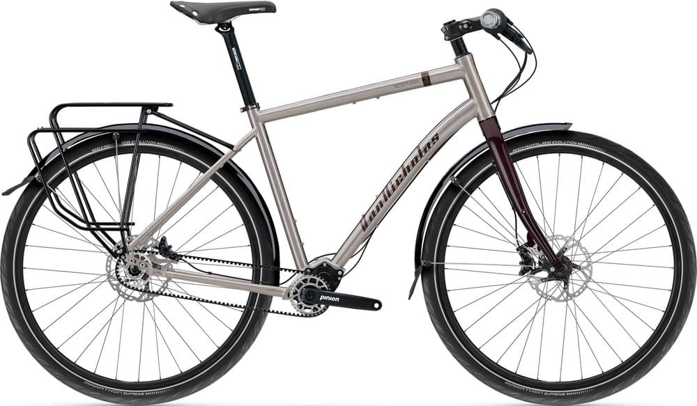Vannicholas Deveron Pinion P1.18 18-spd belt disc brake