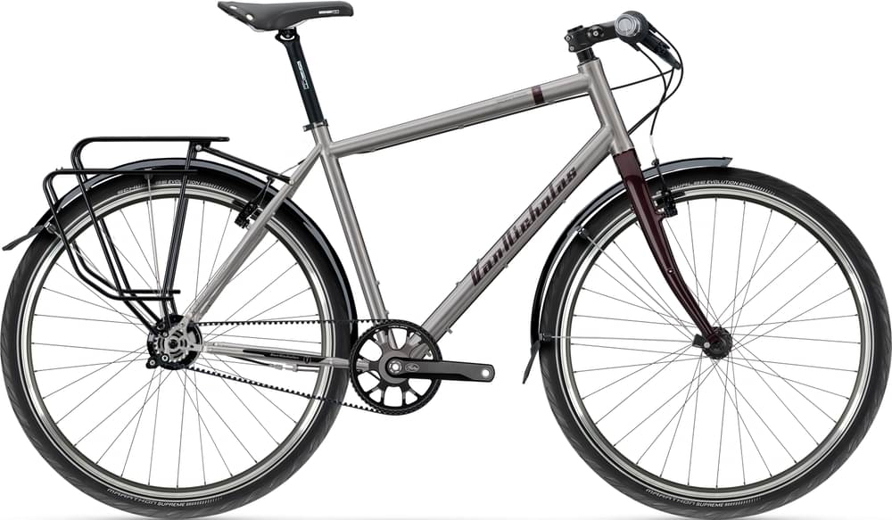 Vannicholas Pioneer Rohloff Speedhub 14-spd belt rim brake