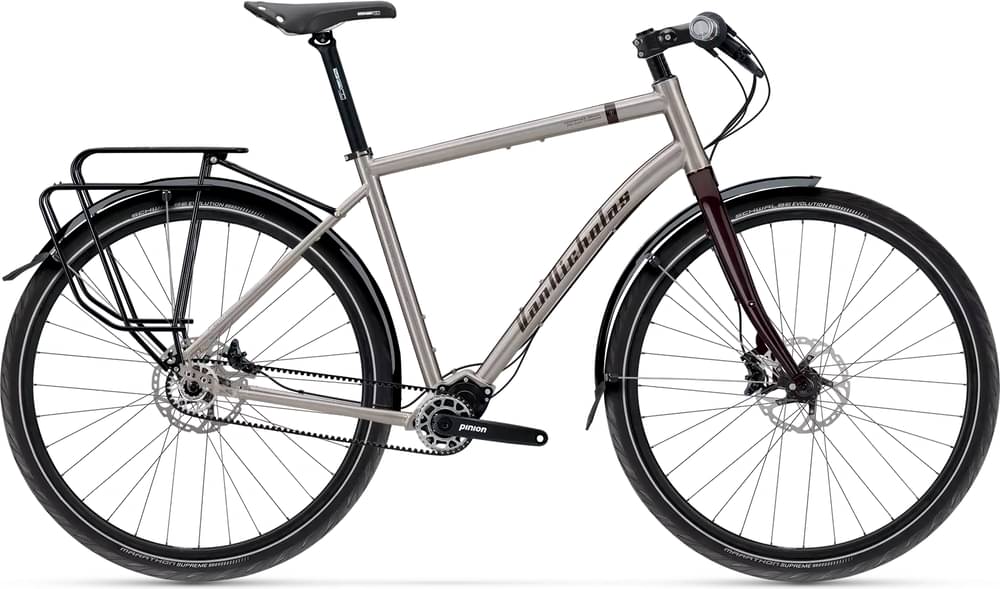 Vannicholas Deveron Pinion P1.18 18-spd belt disc brake