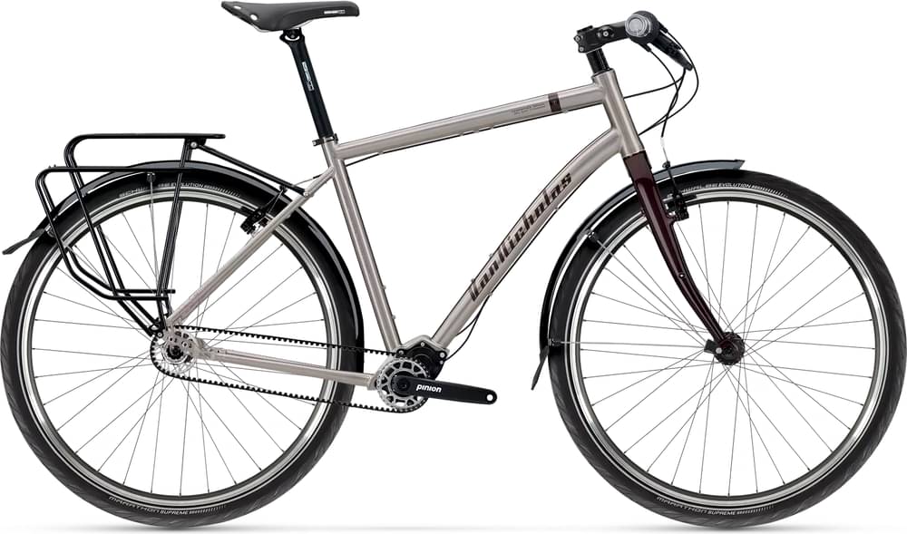 Vannicholas Deveron Pinion P1.18 18-spd belt rim brake