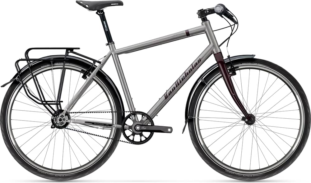 Vannicholas Pioneer Rohloff Speedhub 14-spd belt rim brake