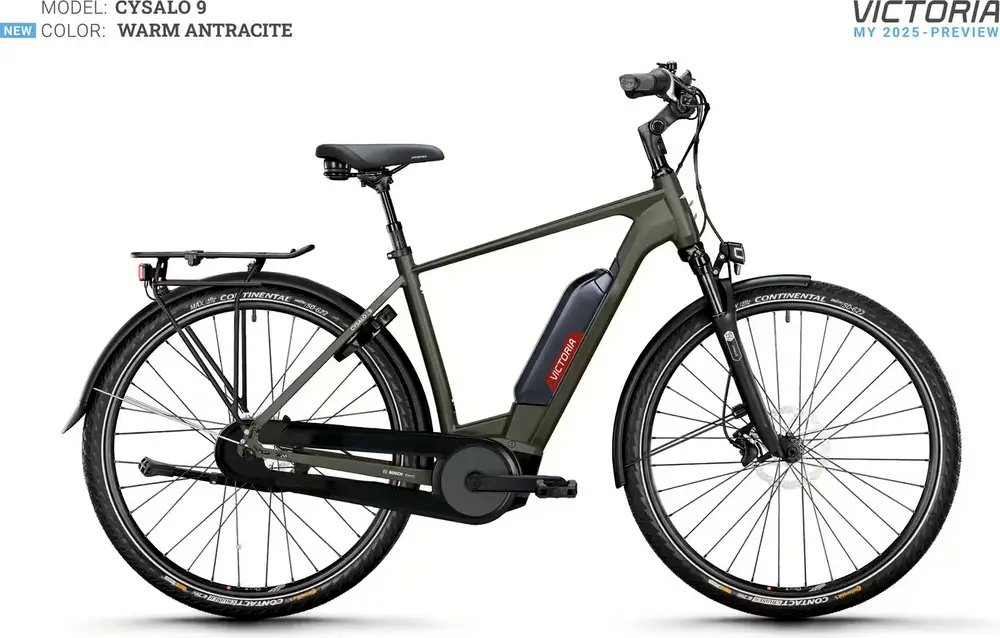 2025 Victoria CYSALO 9 diamond – Specs, Comparisons, Reviews – 99 Spokes