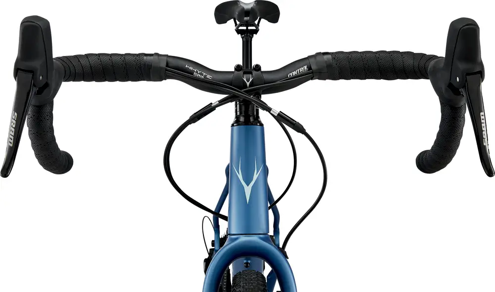 whyte friston 2019 review