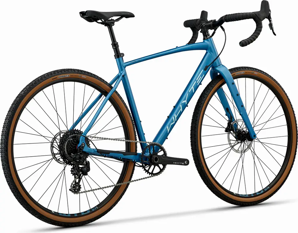 whyte friston 2019 review