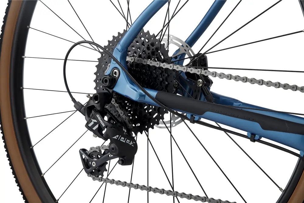 whyte friston 2019 review