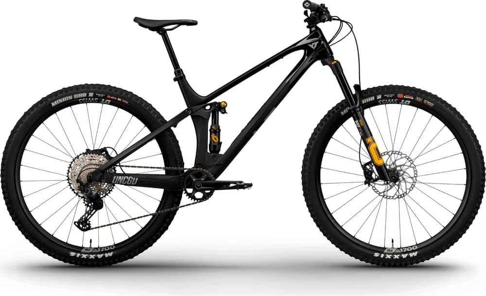 2025 YT Industries Izzo CORE 3 CF 29 – Specs, Comparisons, Reviews